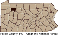 Forest county map