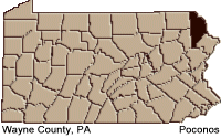 Wayne county map