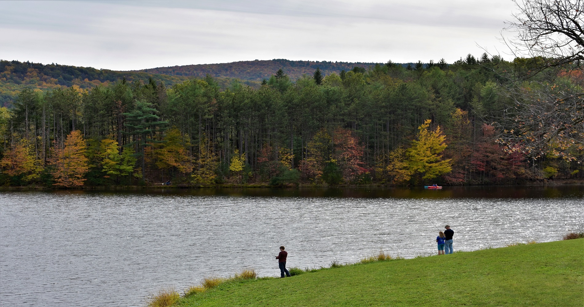 See Elk in Pennsylvania, Summer in Pennsylvania. Visit Pennsylvania Today. Pa Visitors Network